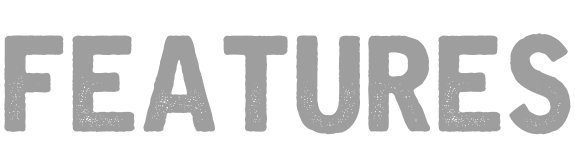 FEATURES