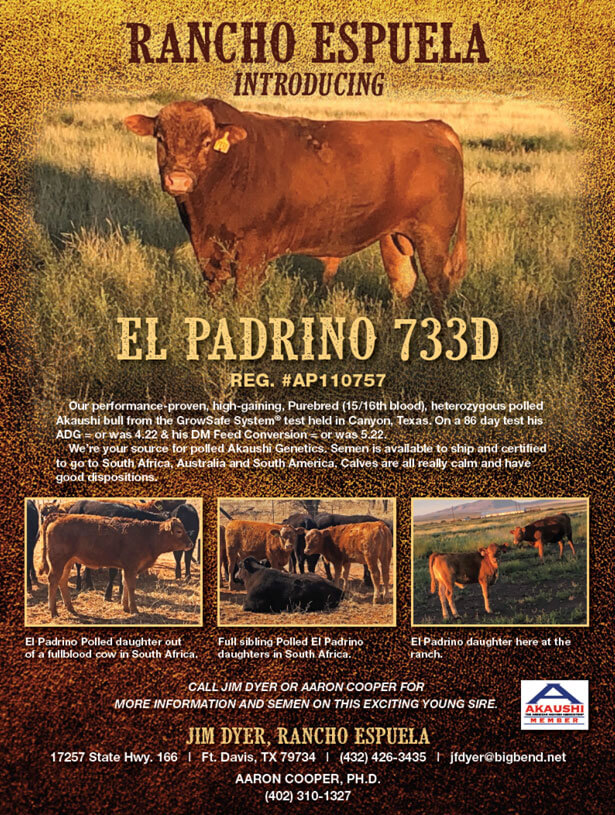 Rancho Espuela - Introducing El Padrino 733D